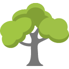 Millsboro Tree Removal